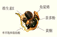齐云山高纯山茶油 齐云山高纯山茶油